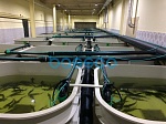 Производство бассейнов для рыбозавода "Эра-98"